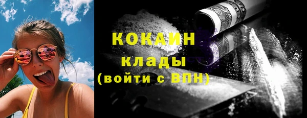 шишки Переславль-Залесский