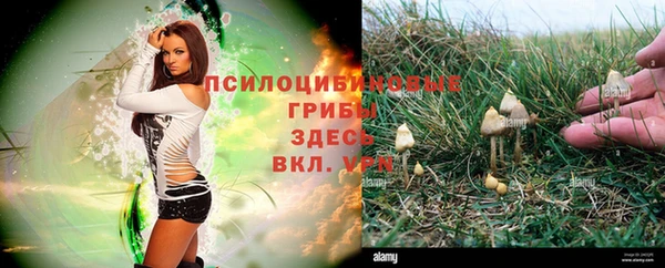 синтетический гашиш Алексеевка