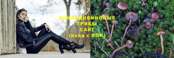ALPHA-PVP Алексин